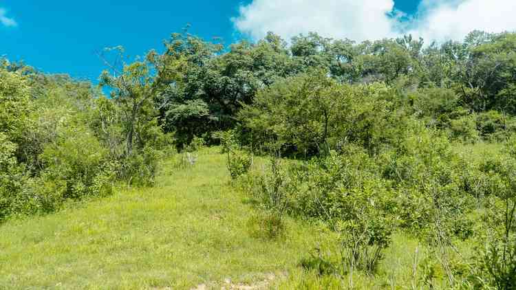 terreno en venta colomitos cuspala tala jalisco paS1Bxv