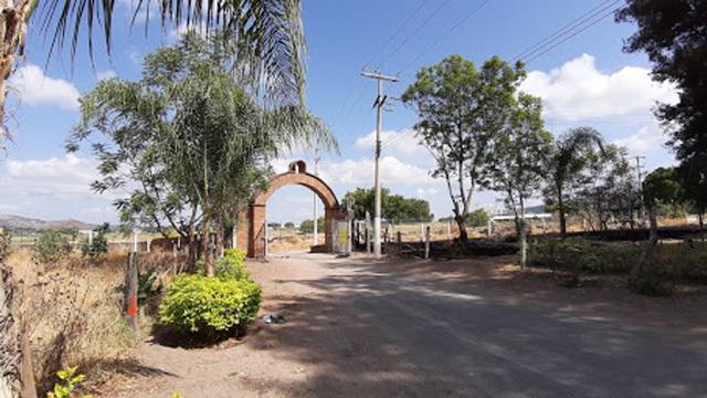 Foto de la galeria de imagenes